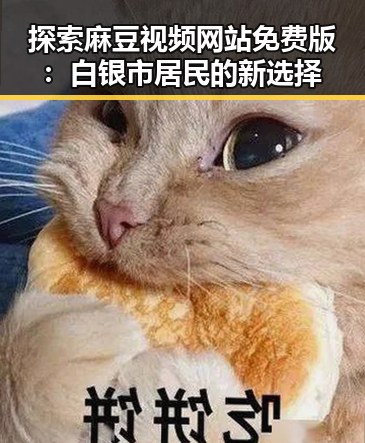 探索麻豆视频网站免费版：白银市居民的新选择