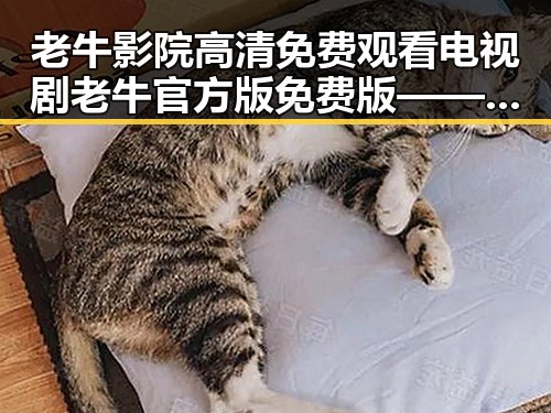 老牛影院高清免费观看电视剧老牛官方版免费版——享受极致观影体验