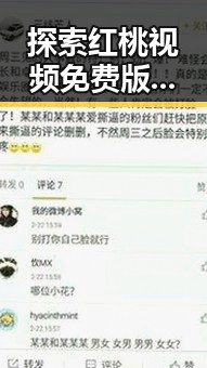 探索红桃视频免费版：免费看最新影视资源的实用指南