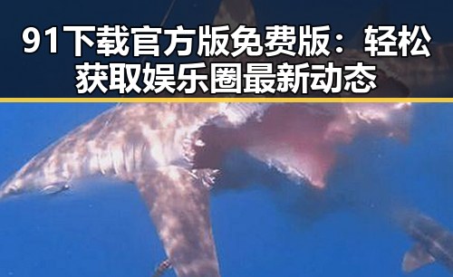 91下载官方版免费版：轻松获取娱乐圈最新动态