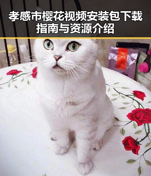 孝感市樱花视频安装包下载指南与资源介绍