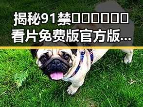 揭秘91禁🍆🍑🔞❌❌❌看片免费版官方版的娱乐圈背后变化