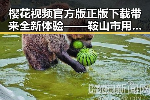 樱花视频官方版正版下载带来全新体验——鞍山市用户的首选