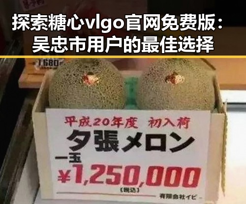 探索糖心vlgo官网免费版：吴忠市用户的最佳选择