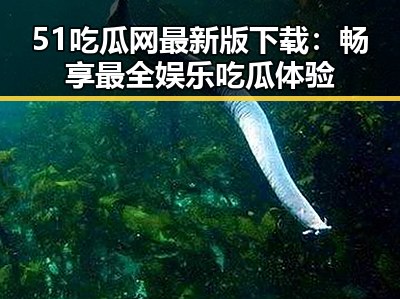 51吃瓜网最新版下载：畅享最全娱乐吃瓜体验