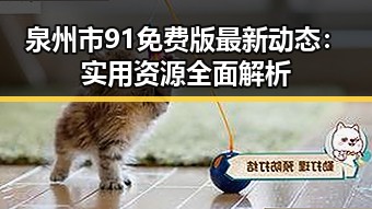 泉州市91免费版最新动态：实用资源全面解析