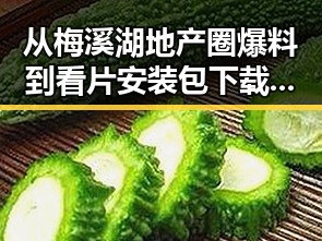从梅溪湖地产圈爆料到看片安装包下载：行业变化的背后
