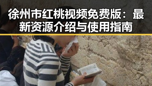 徐州市红桃视频免费版：最新资源介绍与使用指南