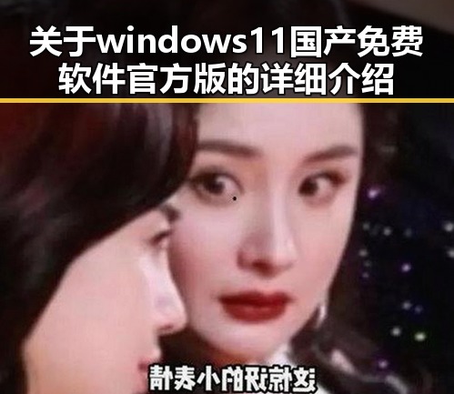 关于windows11国产免费软件官方版的详细介绍