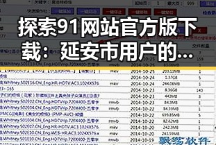 探索91网站官方版下载：延安市用户的便捷选择