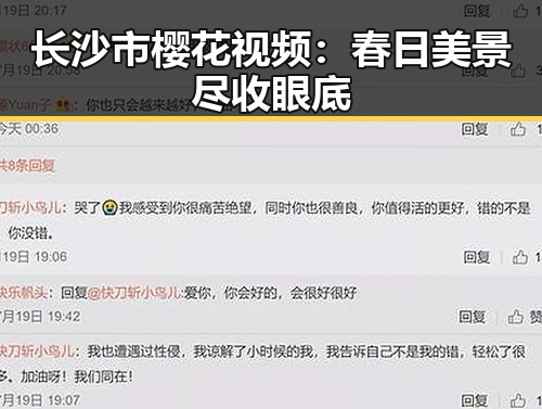 长沙市樱花视频：春日美景尽收眼底