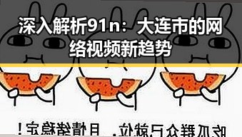 深入解析91n：大连市的网络视频新趋势