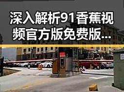 深入解析91香蕉视频官方版免费版：娱乐圈的焦点与现状