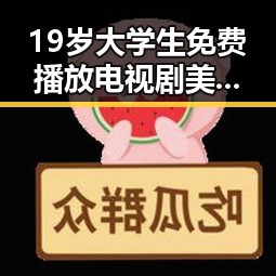 19岁大学生免费播放电视剧美国官方版:轻松畅享最新剧集