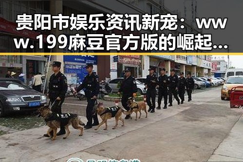 贵阳市娱乐资讯新宠：www.199麻豆官方版的崛起与反差