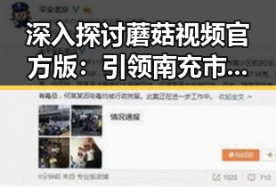 深入探讨蘑菇视频官方版：引领南充市娱乐平台新潮流