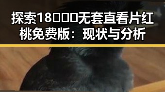 探索18❌❌❌无套直看片红桃免费版：现状与分析
