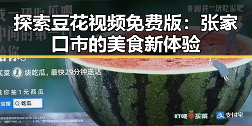 探索豆花视频免费版：张家口市的美食新体验