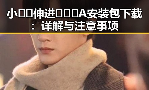 小🐔🐔伸进🈲🔞🔞A安装包下载：详解与注意事项