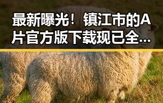 最新曝光！镇江市的A片官方版下载现已全面上线