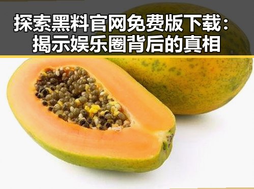 探索黑料 官网免费版下载：揭示娱乐圈背后的真相