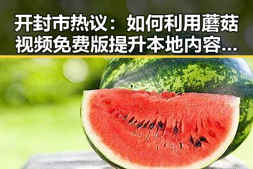 开封市热议：如何利用蘑菇视频免费版提升本地内容推广