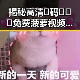 揭秘高清🈚码🔞❌♋免费菠萝视频在线的真实面貌