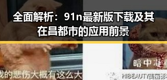 全面解析：91n最新版下载及其在昌都市的应用前景