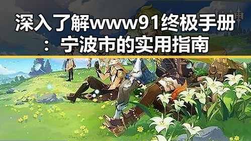 深入了解www91终极手册：宁波市的实用指南