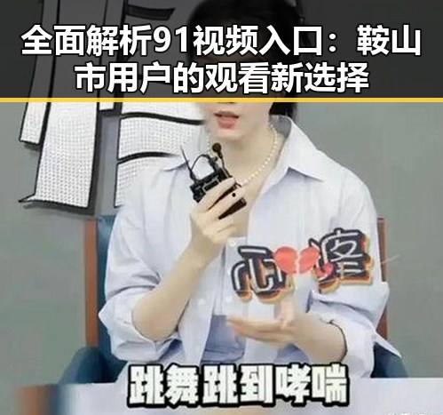 全面解析91视频入口：鞍山市用户的观看新选择