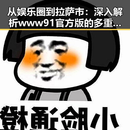 从娱乐圈到拉萨市：深入解析www91官方版的多重魅力