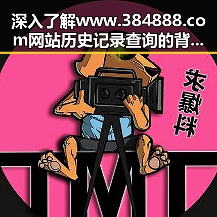 深入了解www.384888.com网站历史记录查询的背景与应用
