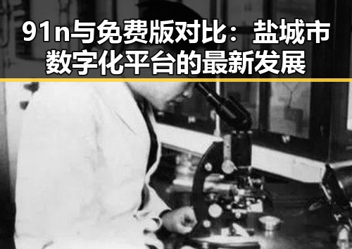 91n与免费版对比：盐城市数字化平台的最新发展