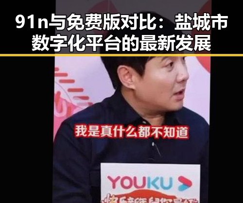 91n与免费版对比：盐城市数字化平台的最新发展