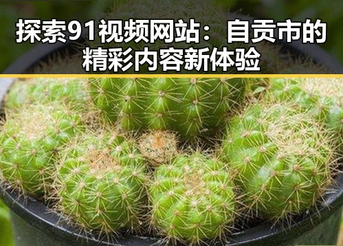 探索91视频网站：自贡市的精彩内容新体验