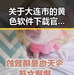 关于大连市的黄色软件下载官方版：最新动态与安全指南