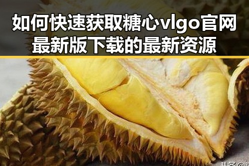 如何快速获取糖心vlgo官网最新版下载的最新资源