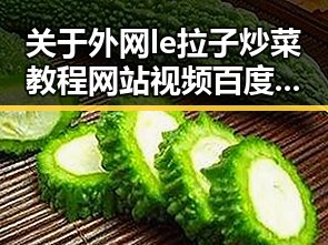 关于外网le拉子炒菜教程网站视频百度绿色版的详细介绍