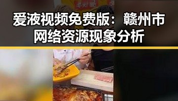 爱液视频免费版：赣州市网络资源现象分析