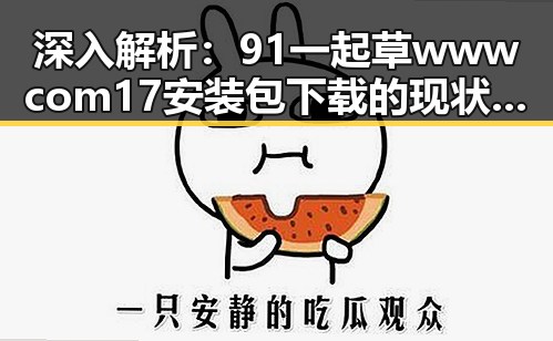 深入解析：91 一起草wwwcom17安装包下载的现状与发展