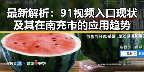 最新解析：91视频入口现状及其在南充市的应用趋势