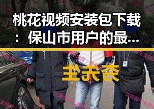 桃花视频安装包下载：保山市用户的最新指南