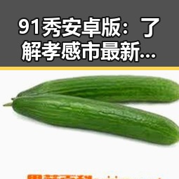 91秀安卓版：了解孝感市最新娱乐资讯的首选平台