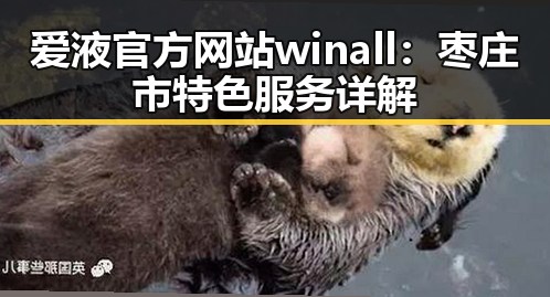 爱液官方网站winall：枣庄市特色服务详解