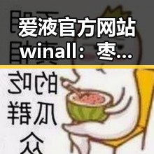 爱液官方网站winall：枣庄市特色服务详解