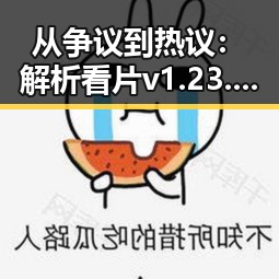 从争议到热议：解析看片v1.23.43 安卓手机版的现状与未来