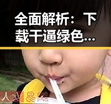 全面解析：下载干逼绿色版的使用与现状
