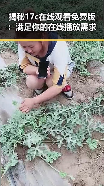 揭秘17c在线观看免费版：满足你的在线播放需求