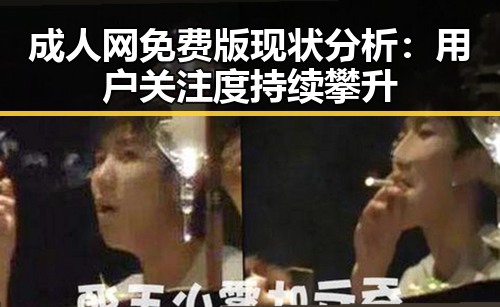 成人网免费版现状分析：用户关注度持续攀升