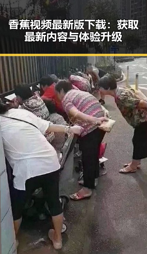 香蕉视频最新版下载：获取最新内容与体验升级